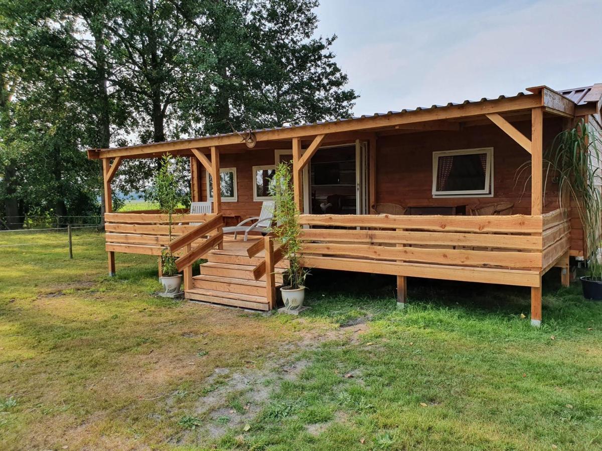 Appartement Tiny House Het Reebokje à Vriescheloo Extérieur photo