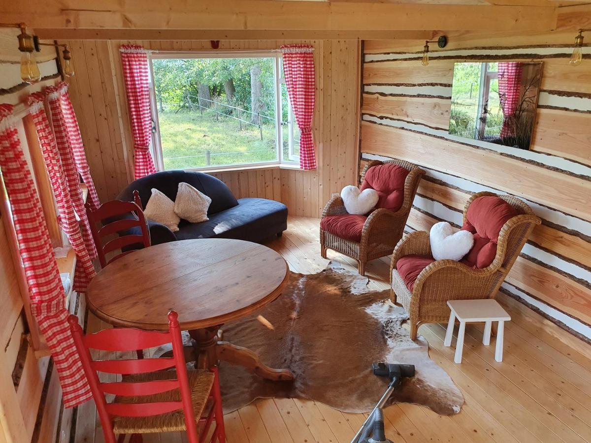 Appartement Tiny House Het Reebokje à Vriescheloo Extérieur photo