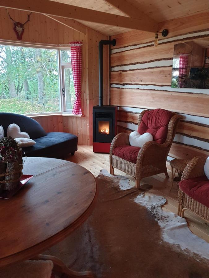 Appartement Tiny House Het Reebokje à Vriescheloo Extérieur photo