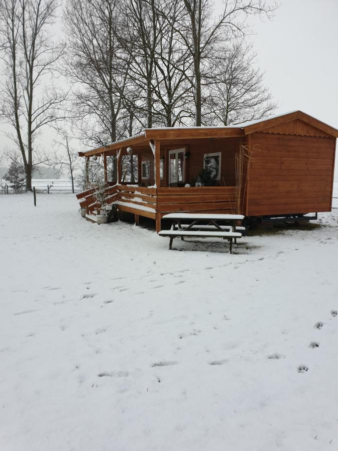 Appartement Tiny House Het Reebokje à Vriescheloo Extérieur photo