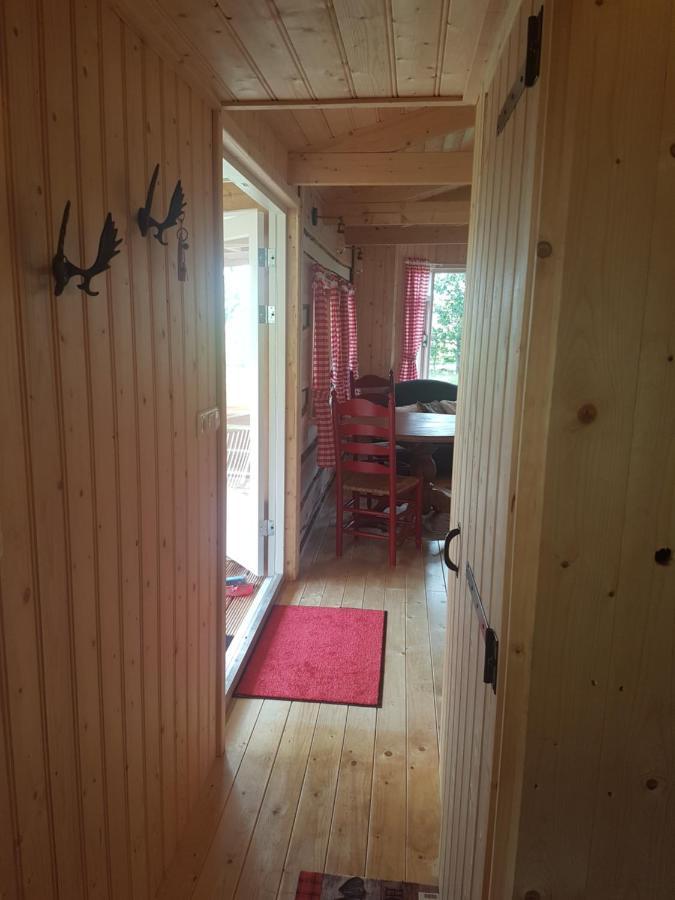 Appartement Tiny House Het Reebokje à Vriescheloo Extérieur photo